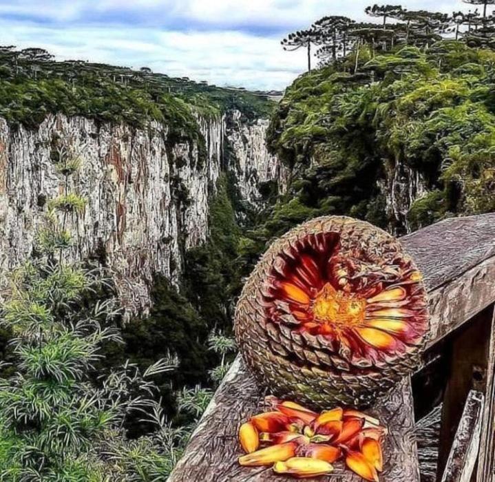 Pousada Encanto Dos Canions กัมบารา ภายนอก รูปภาพ